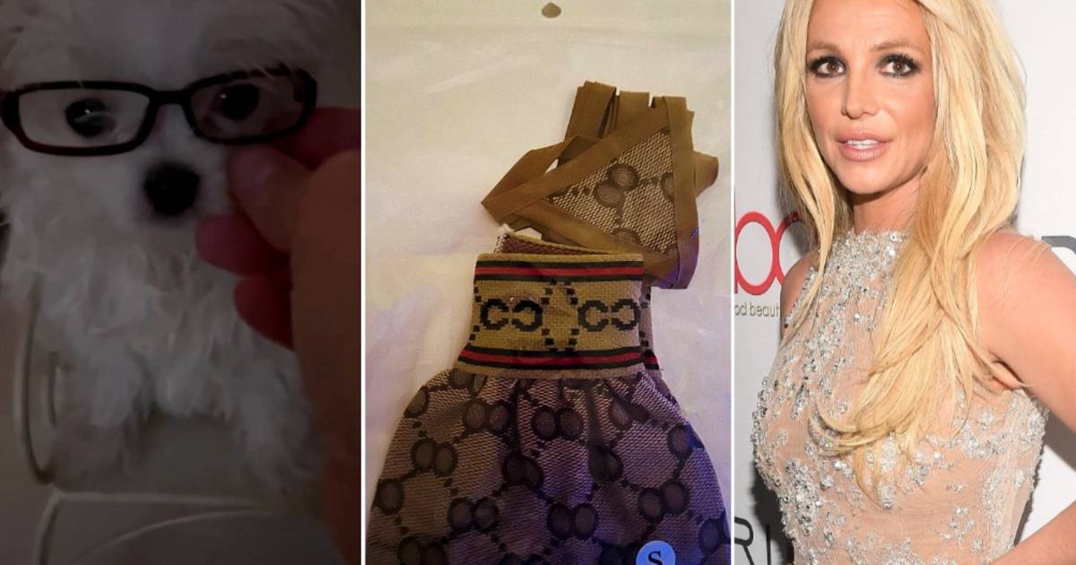 Britney Spears’ Dogs Enjoy Expensive Gucci Outfits: A Look into the Singer’s Lavish Pet Wardrobe