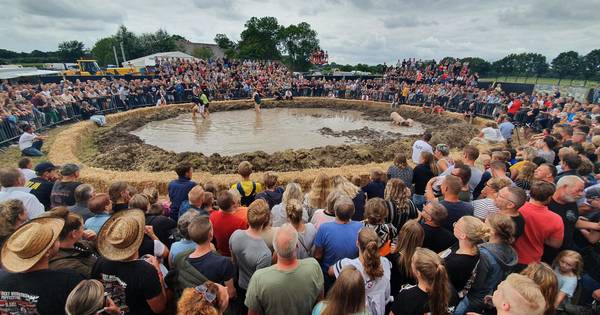 Ondanks protest dierenactivisten veel publiek bij 'zwientie tikken' in Steenwijkerwold - De Stentor