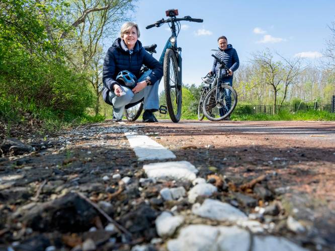 Grote zorgen over toestand van de fietspaden in Harderwijk: ‘Volop scheuren, hobbels en bobbels’