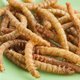 Meelwormen eten: durf jij het aan?
