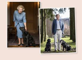 Willem-Alexander vs. Beatrix op de troon