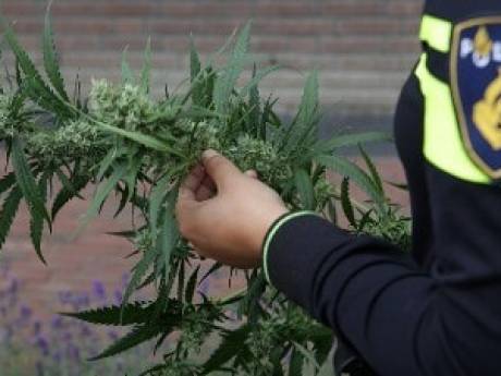 Opnieuw gedoe op terrein klinieken in Den Dolder: nu hennepkwekerij ontdekt