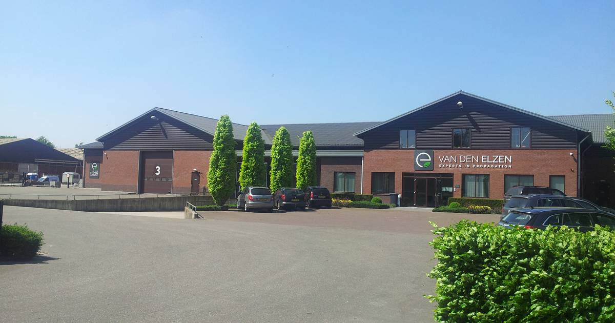 Plantenkwekerijen Het Broek Softfruit en Van den Elzen Plants gaan samen verder: een van de grootste