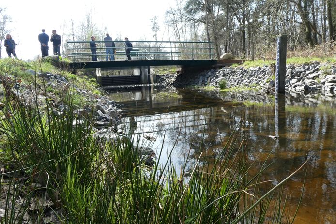 De stuwen in het projectgebied ‘praten met elkaar’ en houden precies genoeg water vast.