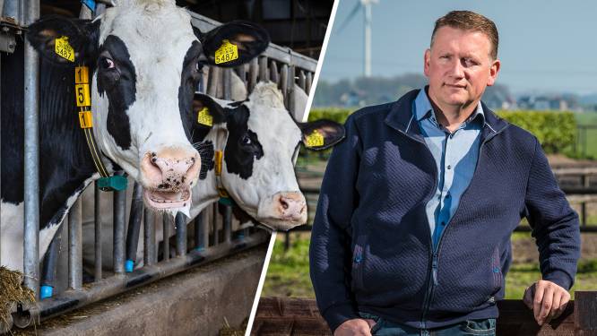 Intrekken vergunningen veehouders volgens Overijssel niet nodig: ‘Menselijke maat ontbreekt’