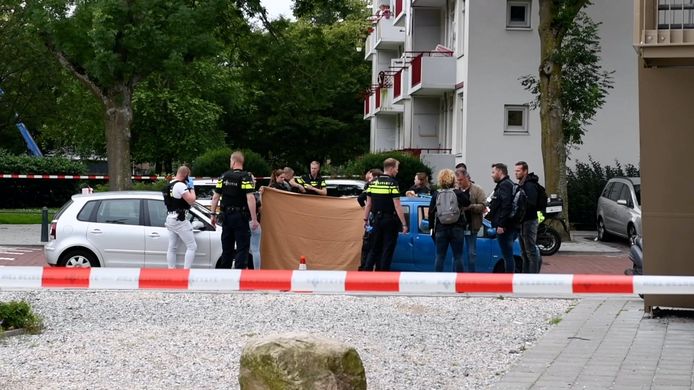 Aanleiding voor de oproep is een ernstig geweldsincident binnen ggz-instelling Parnassia in Den Haag vorige week maandag.