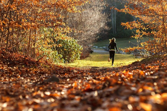 Een gloednieuw online routeplatform biedt Lelystad nieuwe sport- en beweegmogelijkheden in de buitenlucht.