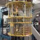 Miljard euro voor eerste quantumcomputer - wedloop tussen Europa en de VS nu echt begonnen