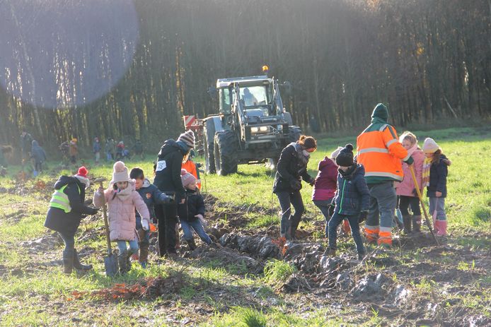 De kinderen van het tweede leerjaar van de OLV-school uit Ingelmunster mochten een halve hectare boompjes aanplanten op het Rhodesgoed in Kachtem.