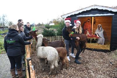 Als er nergens meer een kerstmarkt is, is er nog altijd die in Molenschot: ‘Het is ongekend’
