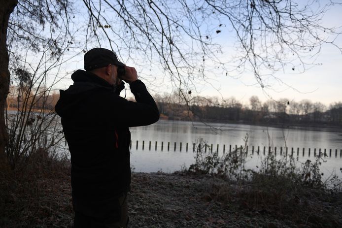 Op zoek naar de ijsvogel in het Provinciedomein Kessel-Lo.