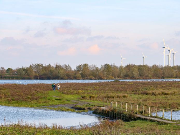 Natuurgebied Oeverlanden bij Strijensas aan het Hollands Diep.
