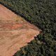Banken kunnen nu zelf het effect van hun investeringen op de natuur meten