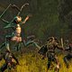 Bots en spammers houden plundertocht door online spel The Elder Scrolls