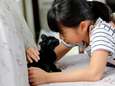 Voor de dierenliefhebbers: katten verwelkomen Japanse treinreizigers