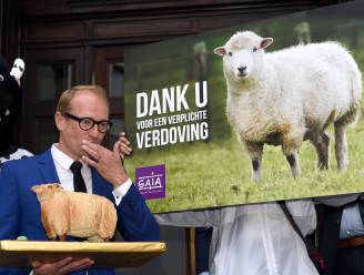 Vlaams Parlement keurt verbod op onverdoofd slachten quasi unaniem goed, slechts één onthouding