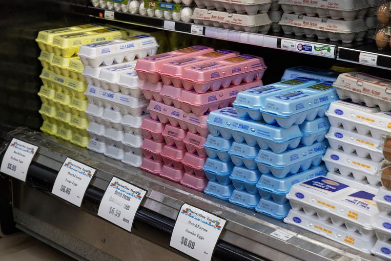 Weinig producten stegen zó erg in prijs als eieren: maar liefst 60 procent. Beeld AP