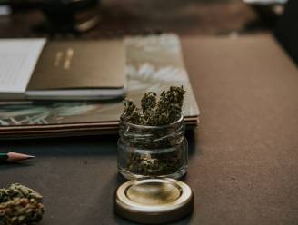 Politie treft jongeren aan met drugs en illegale wapens  bij skatepark