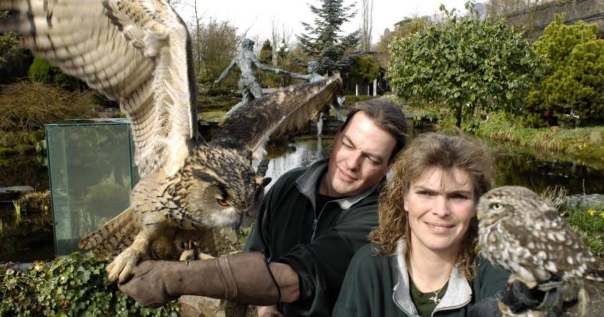 Uilen en reptielen in vijvertuinen