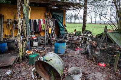 Harrieke (82) leeft al 17 jaar in een stukje bos: ‘Niemand weet wat ze er mee aan moeten’