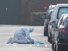 Twee handgranaten in de straat: Nieuwegeinse buurt flink geschrokken