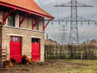Ventilus gaat in Zedelgem en Torhout wellicht ondergronds, maar dat is geen reden tot hoera-stemming: “Bezorgdheid rond gezondheid is niet weg”