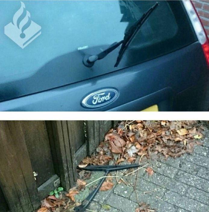 Politie Delft