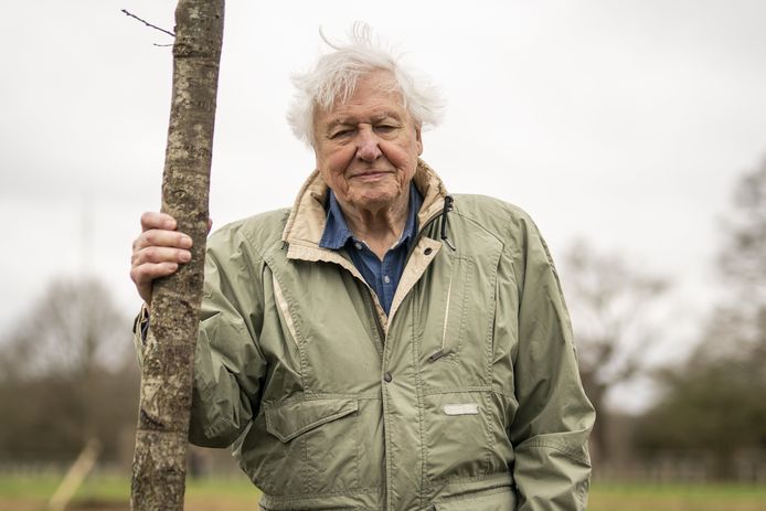 Bioloog en televisiemaker David Attenborough.