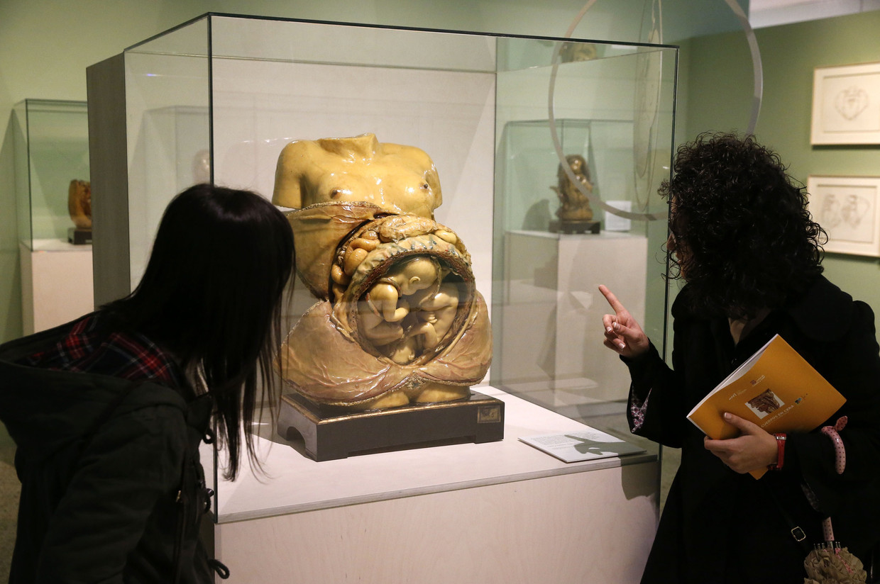 Tentoonstelling 'Cuerpos en Cera'. Beeld AFP