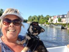 Hoger beroep tegen vrijspraak voor verdachte wiens  hond puppy Bayke en paard Wembley dood in joeg  
