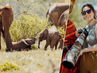 Femke (23) fotografeert zeldzame olifantentweeling: “Zo’n beelden vastleggen en delen is mijn passie”