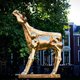 Zeven korte films uit NFF-programma maandagavond te zien in Het Ketelhuis