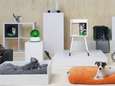 Stijlvol en budgetvriendelijk: Ikea lanceert eerste lijn voor honden en katten