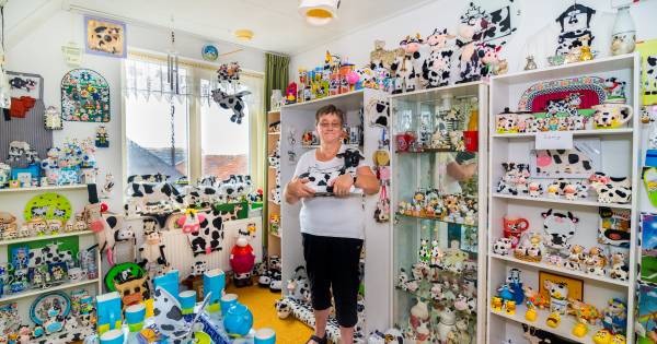 Uniek koeienmuseum in Papekop barst van de bijzondere verhalen - AD.nl