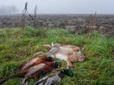 ‘Lustjagers schieten voor hun vermaak jaarlijks twee miljoen dieren af’ en andere lezersreacties van deze week