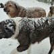 Honden zijn onze beste vrienden, maar hoe regisseer je een filmhond?