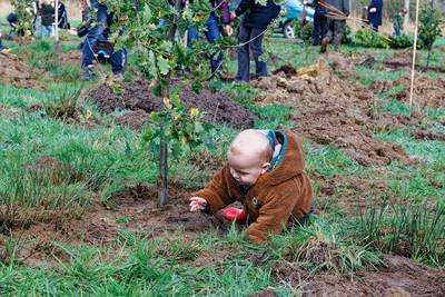Gloednieuw Geboortebos Wijbosch van start met vijftig boompjes - en beschuit met muisjes natuurlijk