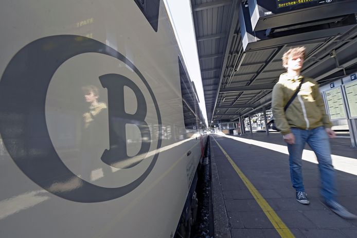 De huidige kortingkaart voor grote gezinnen is volgens de NMBS "niet meer van deze tijd".