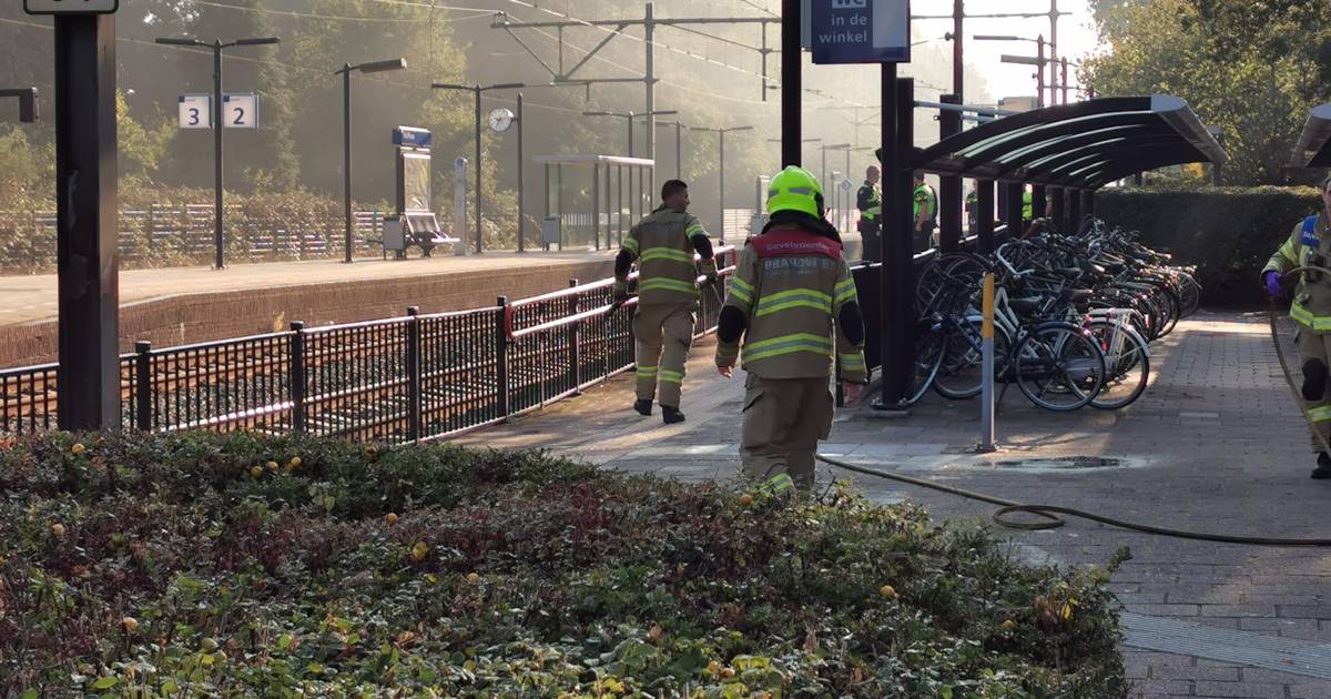 Geen treinen tussen Arnhem en Ede-Wageningen vanwege aanrijding.