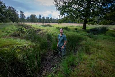 Ondanks ‘absurd nat’ voorjaar wordt Kortenhoeff toch beschermd tegen droogte: ‘Dat is absoluut nodig