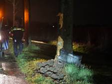 Bestelbus vliegt uit de bocht en schampt bomen in Dongen, bestuurder blijft ongedeerd