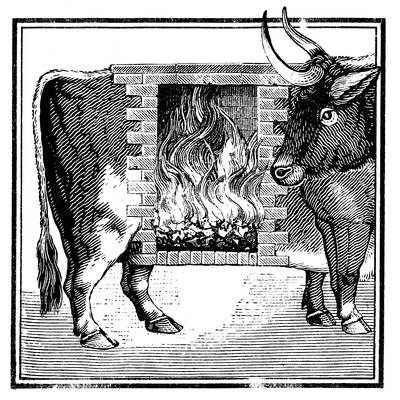 Over de nachtmerrie en de zoetekauw, dieren die alleen in taal bestaan