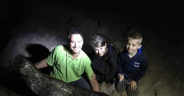 Jelle vist monstermeerval van 1,79 meter uit de Rijn - De Gelderlander
