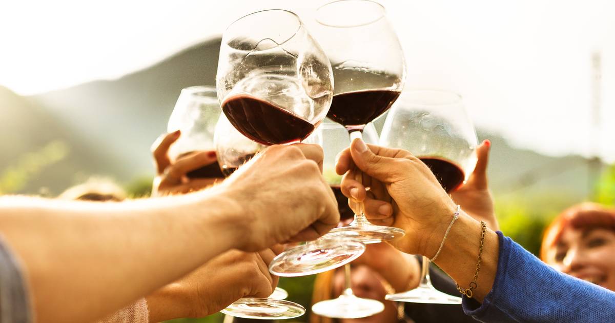 “VinITAliège”, rassegna dedicata esclusivamente ai vini italiani a Liegi |  Mangiare