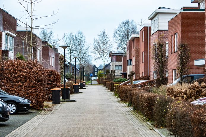 Ogenschijnlijk een vredige straat in de Deventer wijk de Vijfhoek, maar twee buren kunnen elkaar niet luchten of zien.