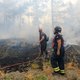 Hitte in Zuid-Europa zorgt voor uitzonderlijk veel bosbranden. ‘Alleen al in juli hebben we er 1584 gezien’