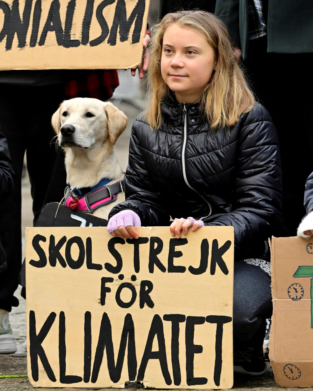 ‘Greta Thunberg is een goed voorbeeld van een autistische persoon die complexe systemen zoals CO2- uitstoot goed begrijpt. Ze heeft het echter moeilijk met sociale relaties.' Beeld VIA REUTERS