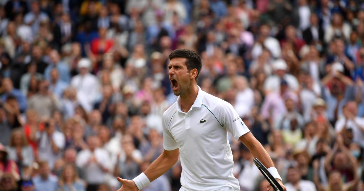 WIMBLEDON. Djokovic vervoegt Berrettini in de finale ...