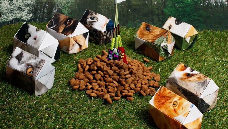 Duizenden Huisdierenbezitters Vluchten Rond Jaarwisseling De Stad Uit Het Parool