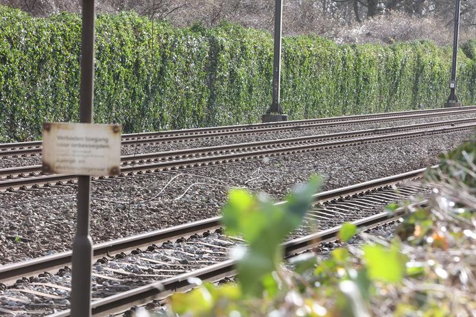 Due to an accident with a crane truck, the overhead lines of the track near Vught were destroyed.